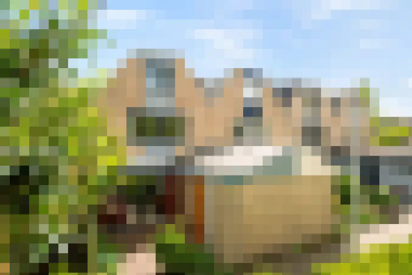 Duivestein 1 Pijnacker thumbnail 40