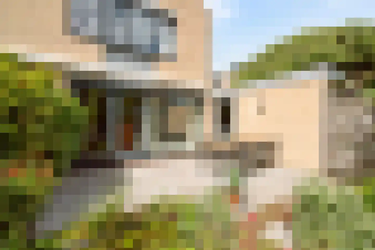 Duivestein 1 Pijnacker thumbnail 5