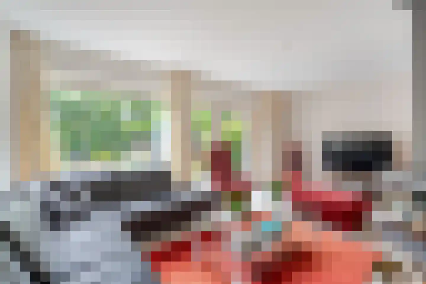 Duivestein 1 Pijnacker thumbnail 7