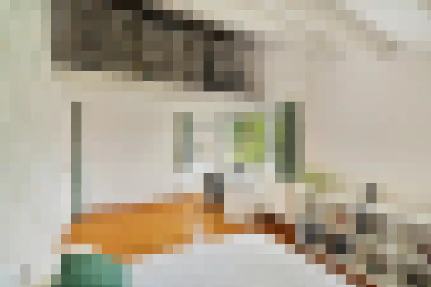 Duivestein 15 Pijnacker thumbnail 16