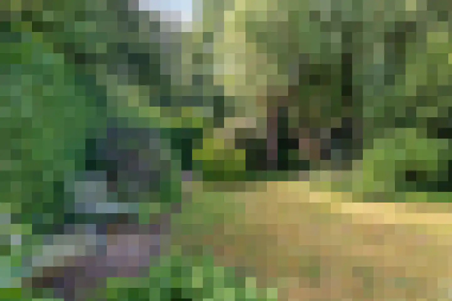 Duivestein 15 Pijnacker thumbnail 31