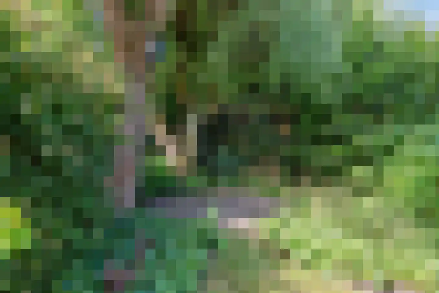 Duivestein 15 Pijnacker thumbnail 32