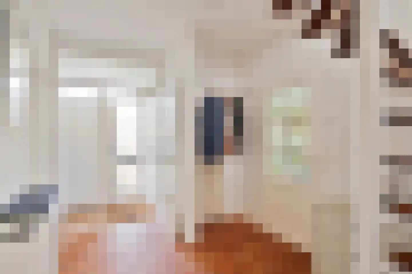 Duivestein 15 Pijnacker thumbnail 6