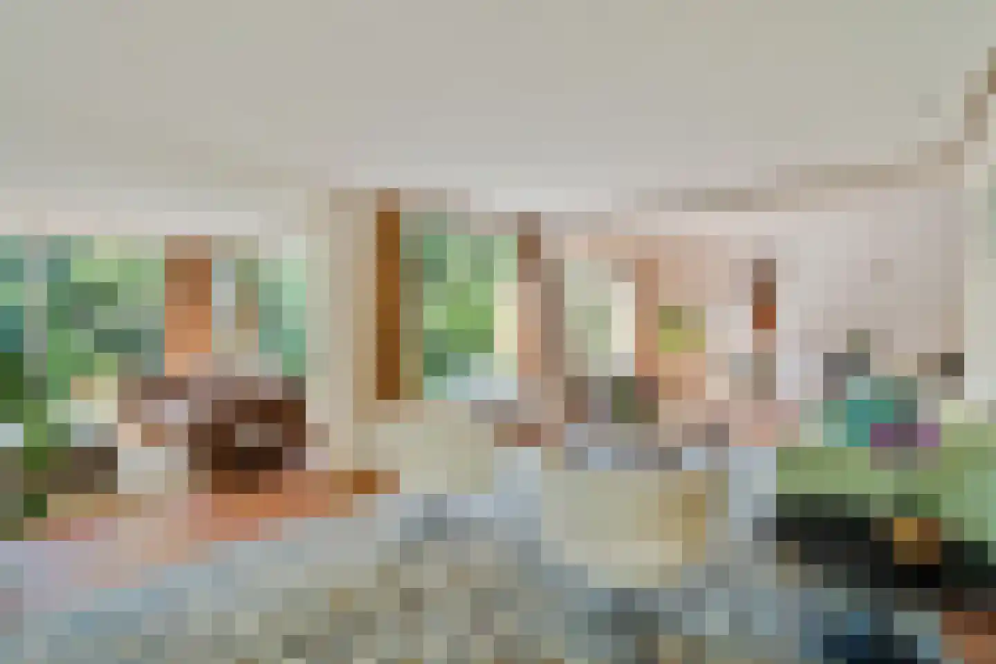Duivestein 15 Pijnacker thumbnail 7