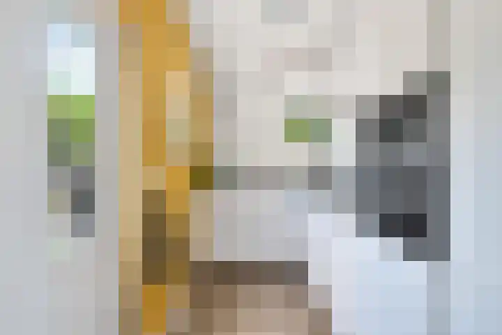 Duivesteinstraat 1 Leeuwarden thumbnail 10
