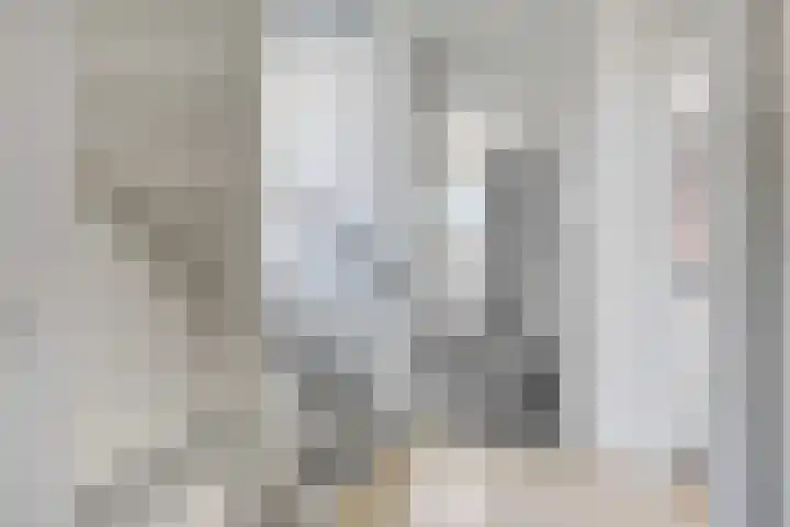 Duivesteinstraat 1 Leeuwarden thumbnail 23
