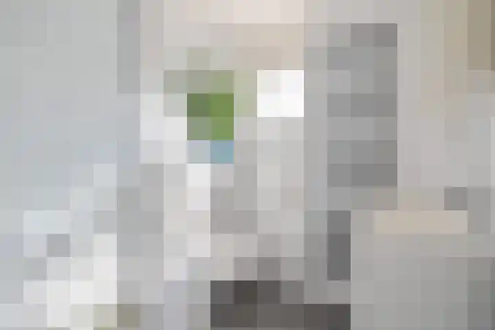 Duivesteinstraat 1 Leeuwarden thumbnail 24