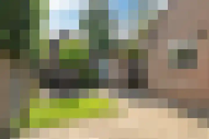 Duivesteinstraat 1 Leeuwarden thumbnail 30