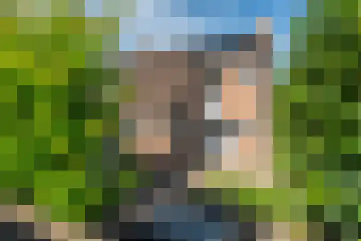 Duivesteinstraat 1 Leeuwarden thumbnail 32