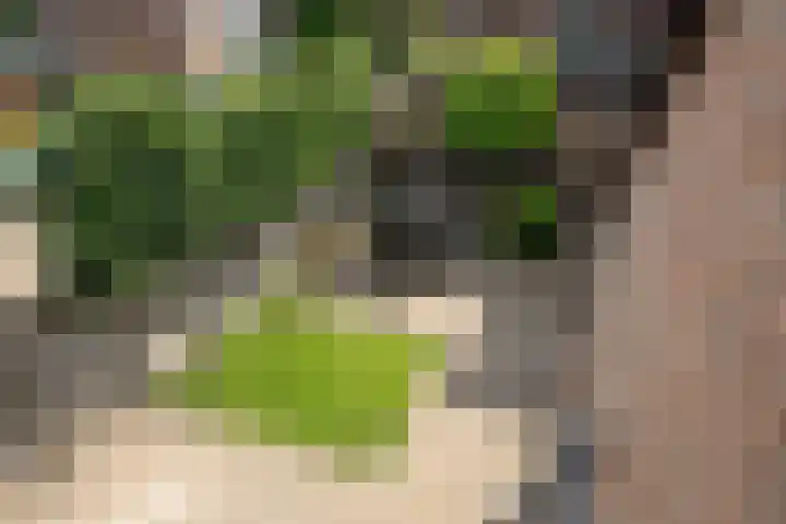 Duivesteinstraat 1 Leeuwarden thumbnail 33