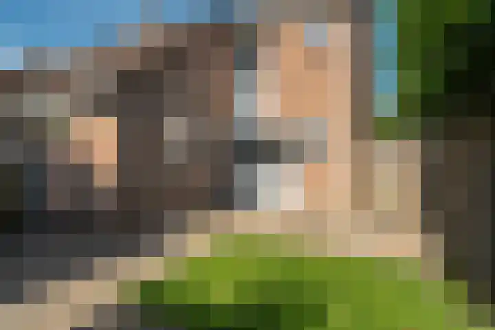 Duivesteinstraat 1 Leeuwarden thumbnail 34