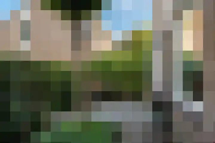 Duivesteinstraat 1 Leeuwarden thumbnail 41