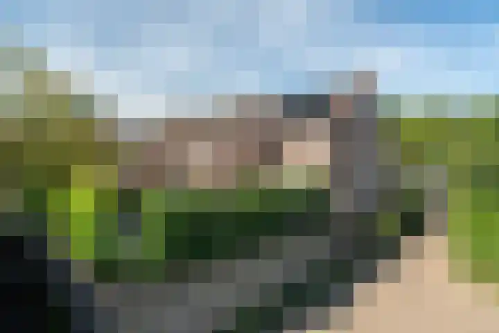Duivesteinstraat 1 Leeuwarden thumbnail 43