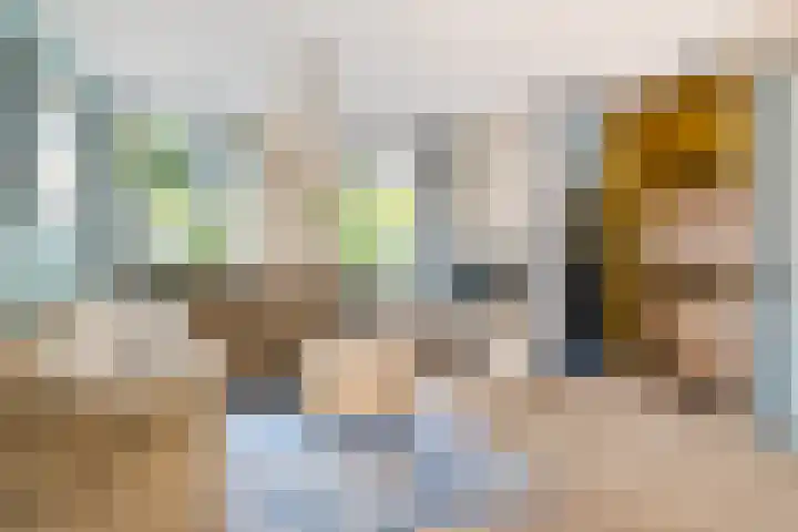 Duivesteinstraat 1 Leeuwarden thumbnail 5