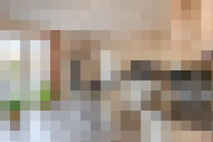 Duizeldonksestraat 1 C Helmond thumbnail 20
