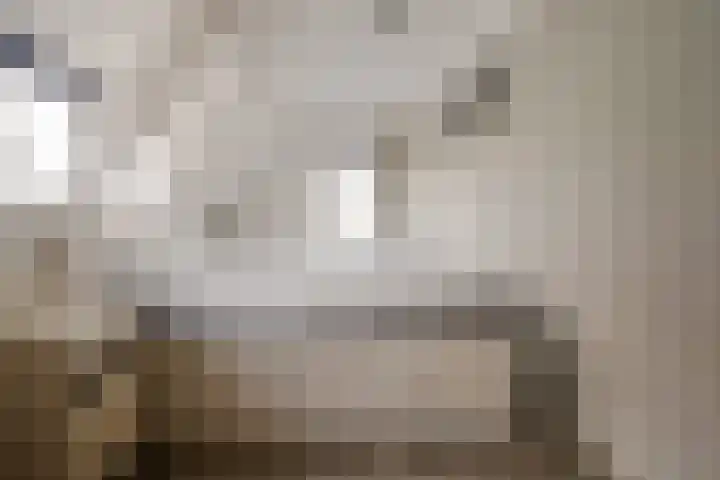 Duizeldonksestraat 1 C Helmond thumbnail 42