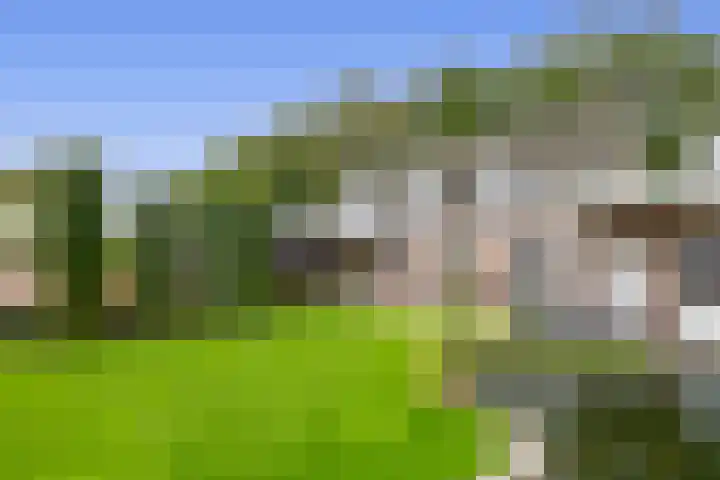 Duizeldonksestraat 1 C Helmond thumbnail 43