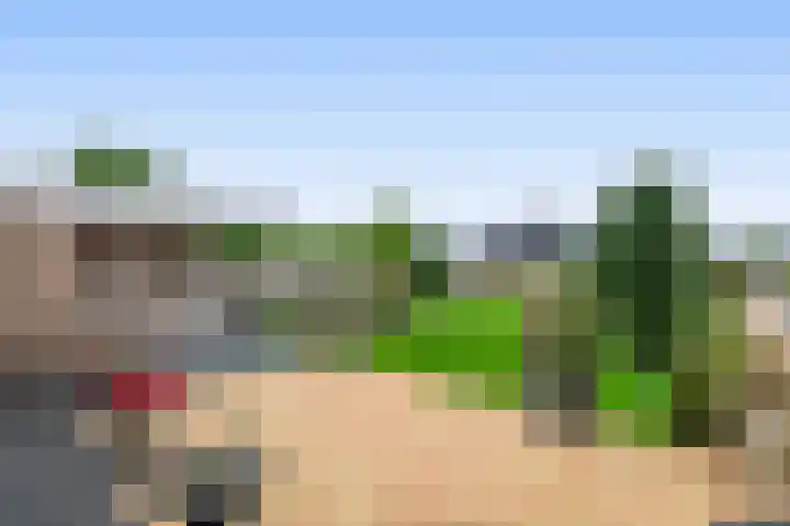 Duizeldonksestraat 1 C Helmond thumbnail 46