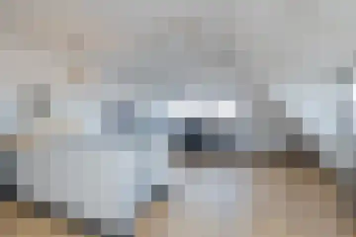 Duizeldonksestraat 1 C Helmond thumbnail 51