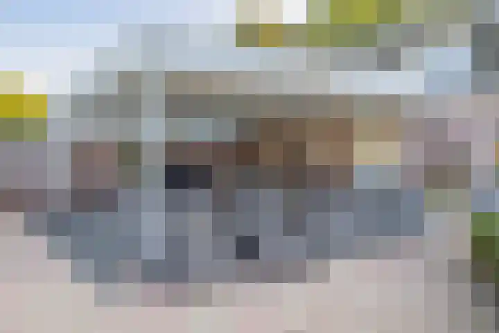 Duizeldonksestraat 1 C Helmond thumbnail 51
