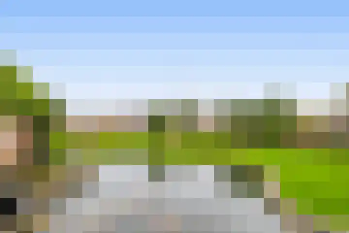 Duizeldonksestraat 1 C Helmond thumbnail 52