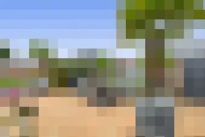 Duizeldonksestraat 1 C Helmond thumbnail 55