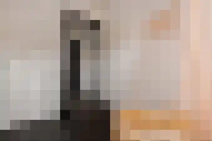 Duizeldonksestraat 1 C Helmond thumbnail 6