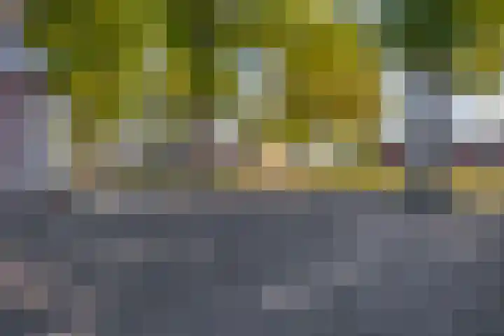 Duizeldonksestraat 1 C Helmond thumbnail 6