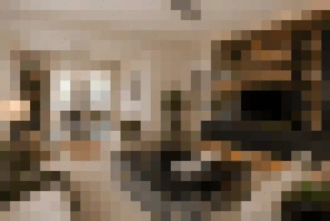 Duizeldonksestraat 1 Helmond thumbnail 11
