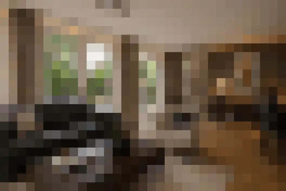 Duizeldonksestraat 1 Helmond thumbnail 13