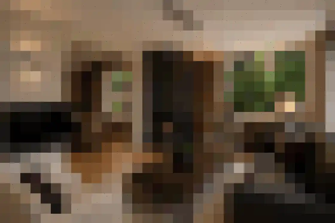 Duizeldonksestraat 1 Helmond thumbnail 14