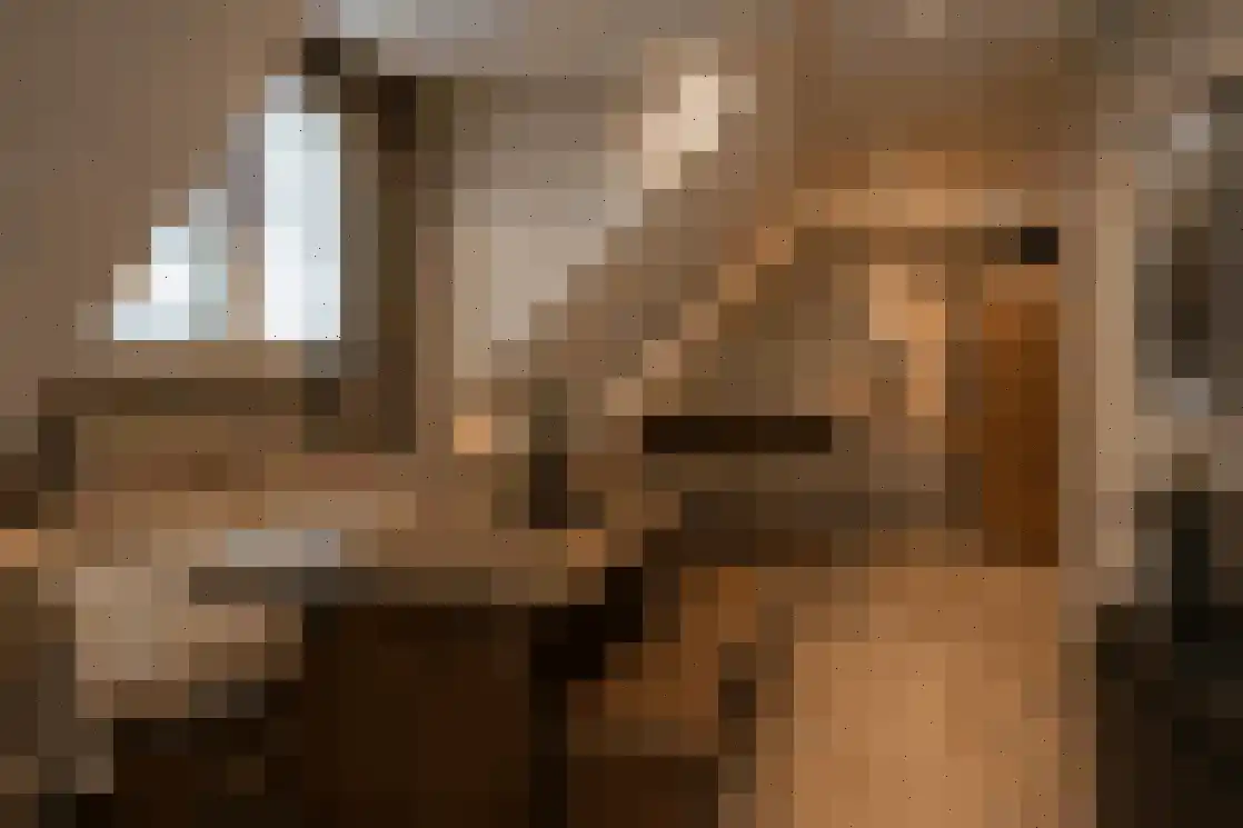 Duizeldonksestraat 1 Helmond thumbnail 22