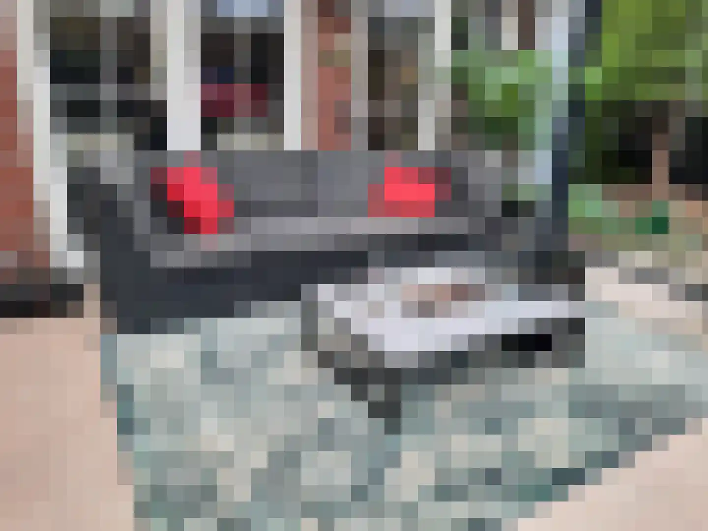 Duizeldonksestraat 1 Helmond thumbnail 8