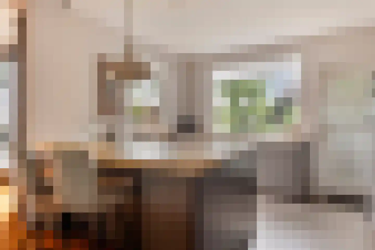 Duizeldonksestraat 16 Helmond thumbnail 12