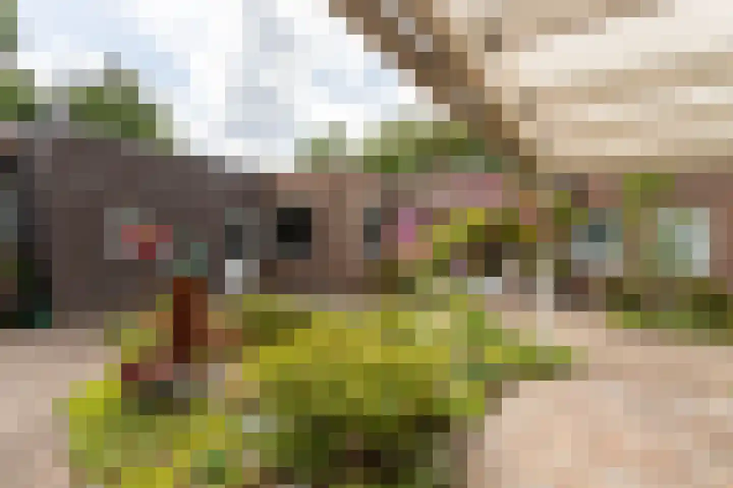 Duizeldonksestraat 16 Helmond thumbnail 29