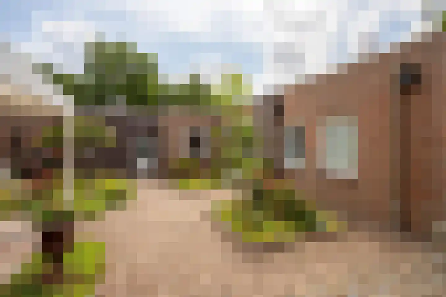 Duizeldonksestraat 16 Helmond thumbnail 39