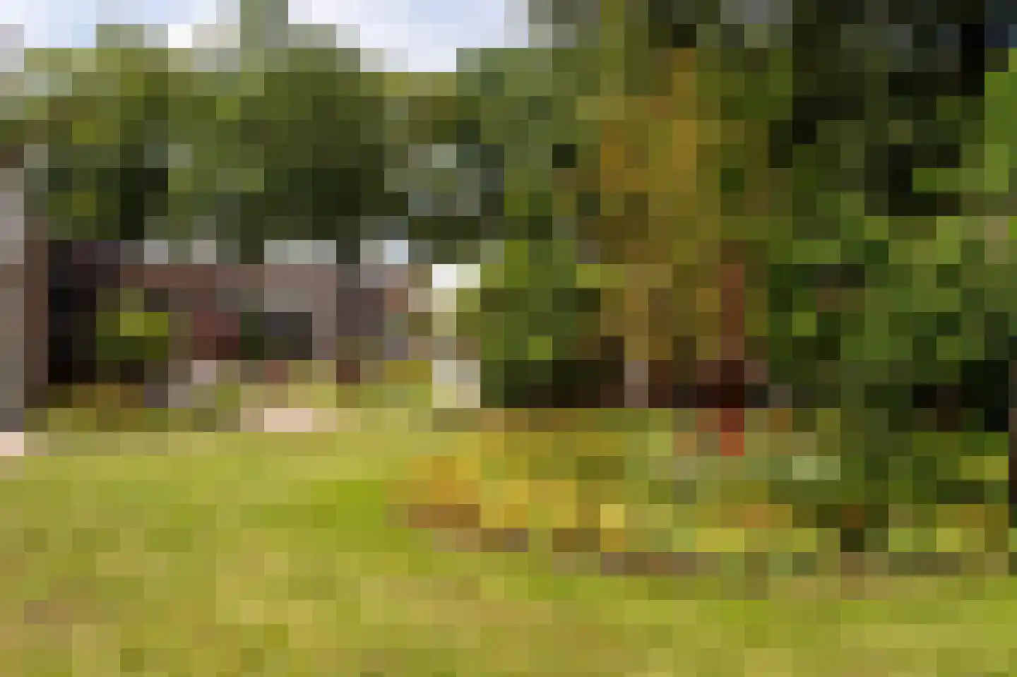 Duizeldonksestraat 16 Helmond thumbnail 47