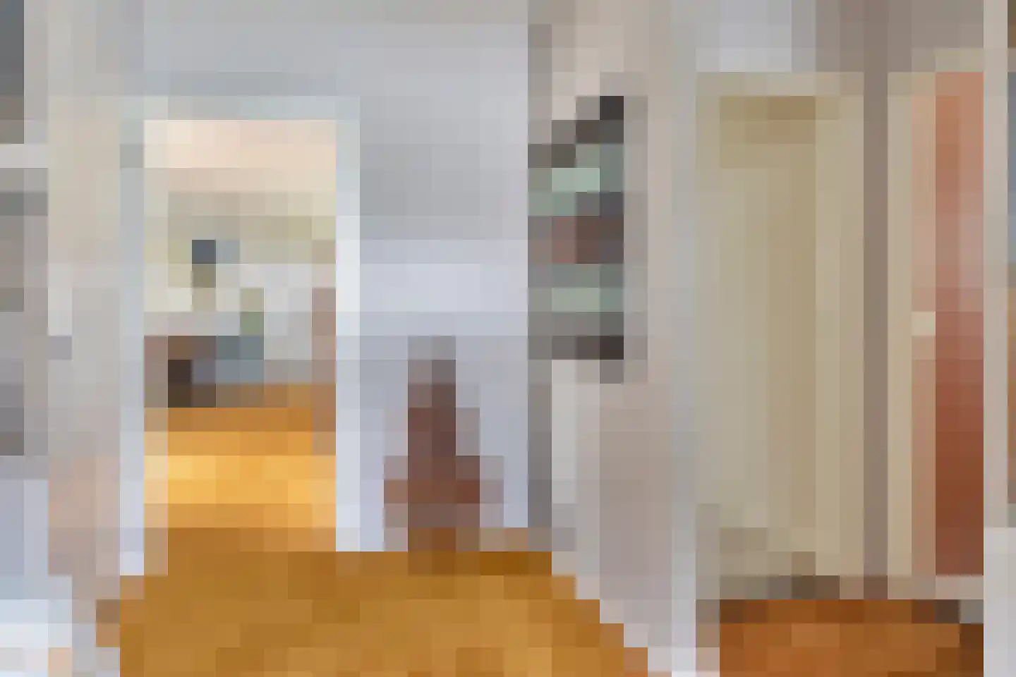 Duizeldonksestraat 16 Helmond thumbnail 8