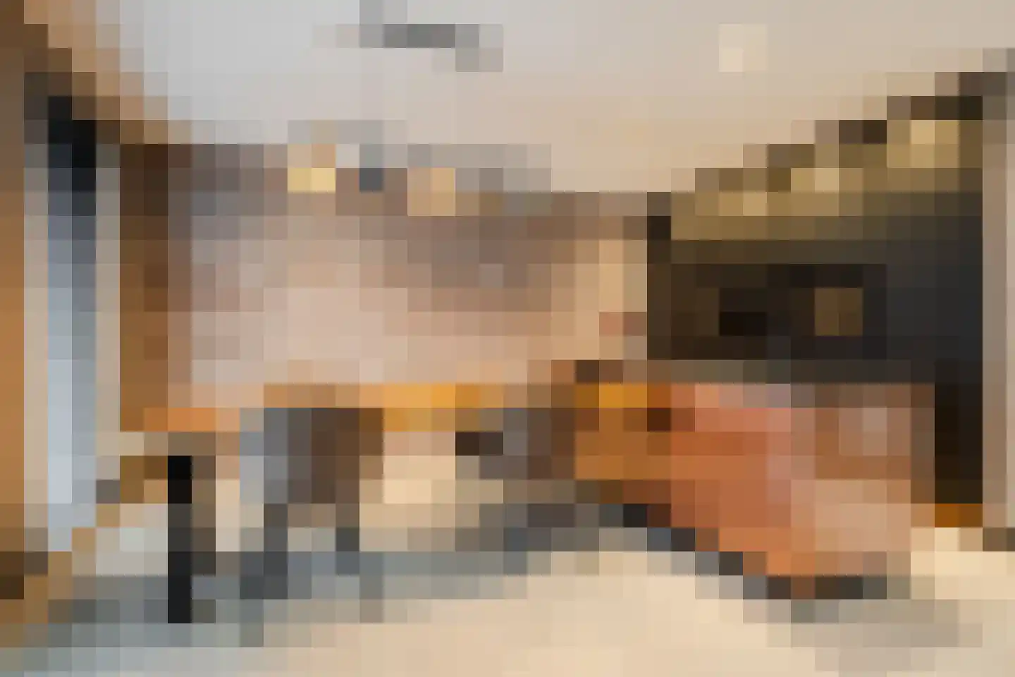 Duizelseweg 4 Eersel thumbnail 11