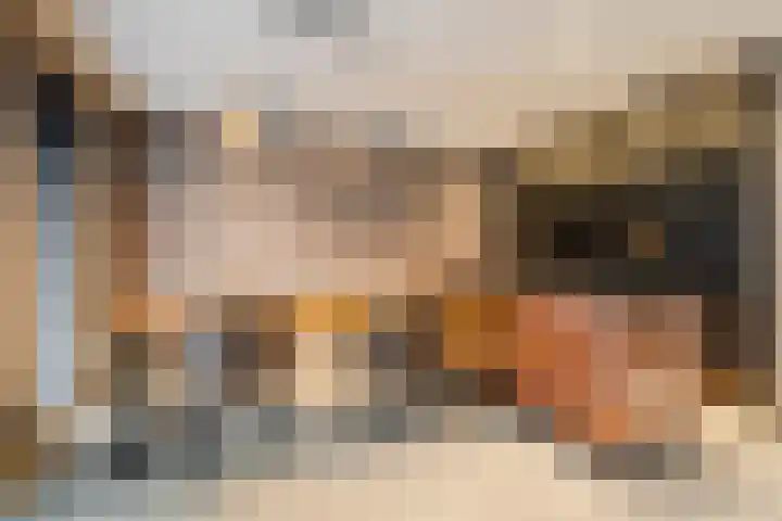 Duizelseweg 4 Eersel thumbnail 11