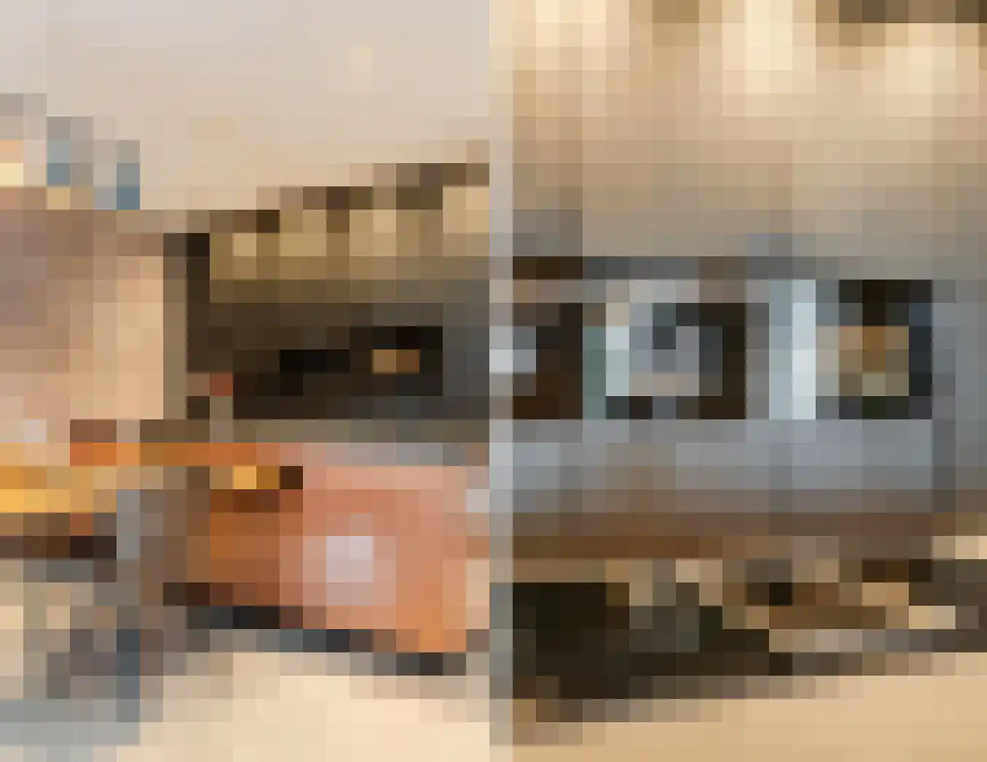 Duizelseweg 4 Eersel thumbnail 13