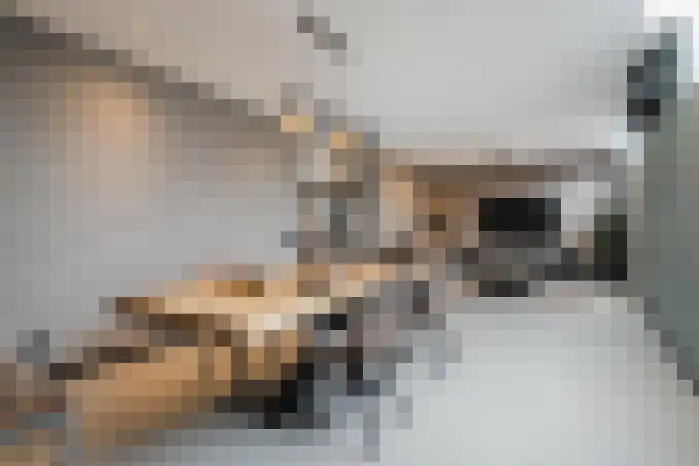 Duizelseweg 4 Eersel thumbnail 14