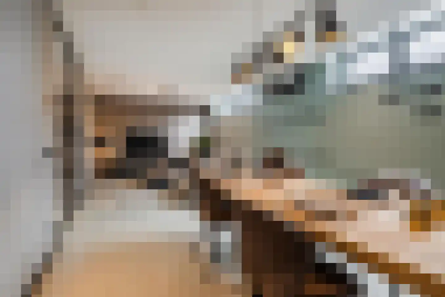 Duizelseweg 4 Eersel thumbnail 15
