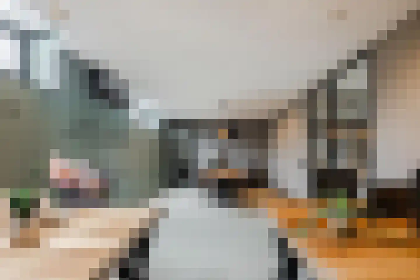 Duizelseweg 4 Eersel thumbnail 16