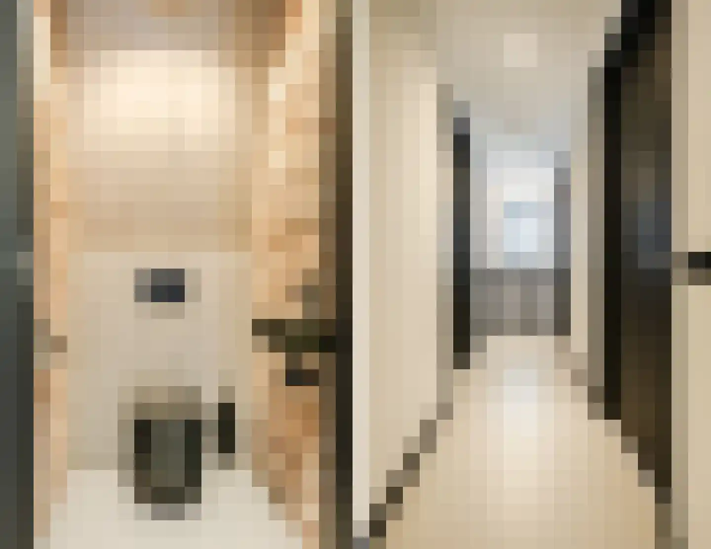 Duizelseweg 4 Eersel thumbnail 20