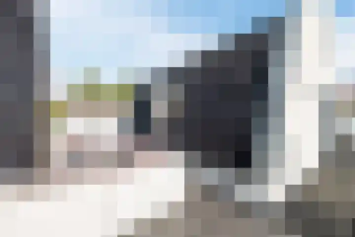 Duizelseweg 4 Eersel thumbnail 36