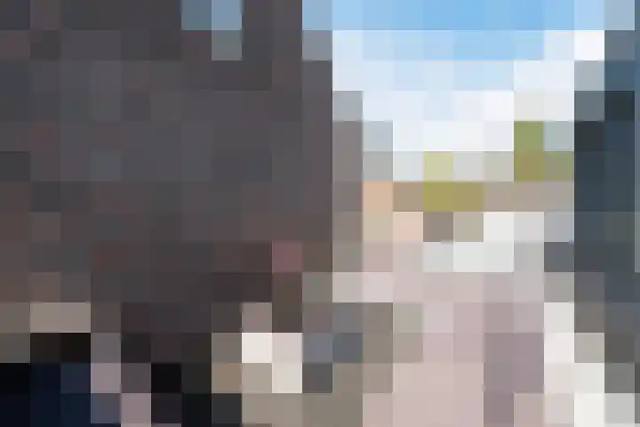 Duizelseweg 4 Eersel thumbnail 37