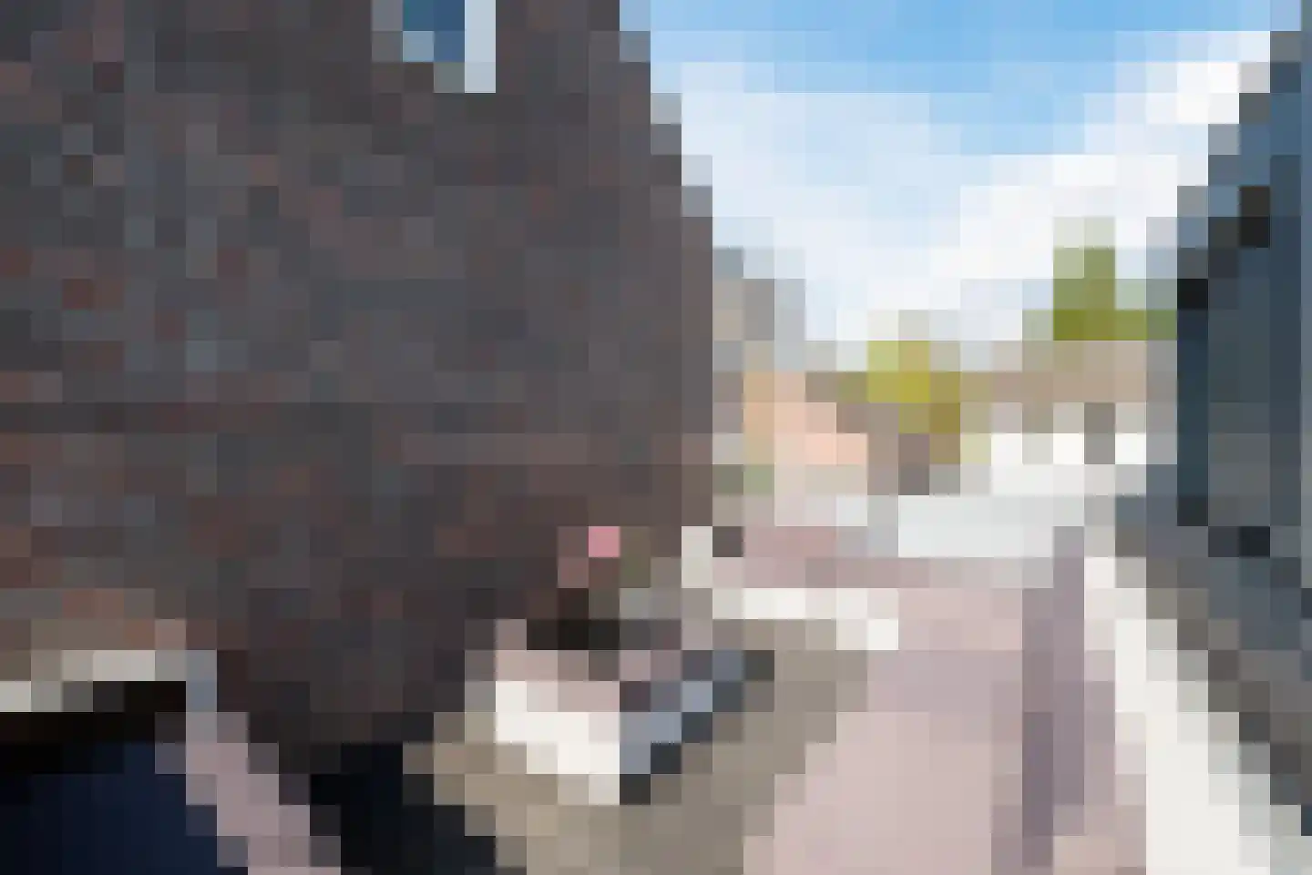 Duizelseweg 4 Eersel thumbnail 37