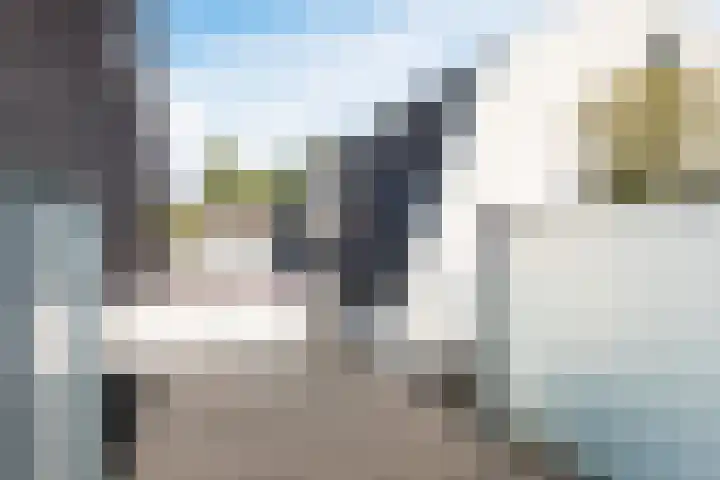 Duizelseweg 4 Eersel thumbnail 38