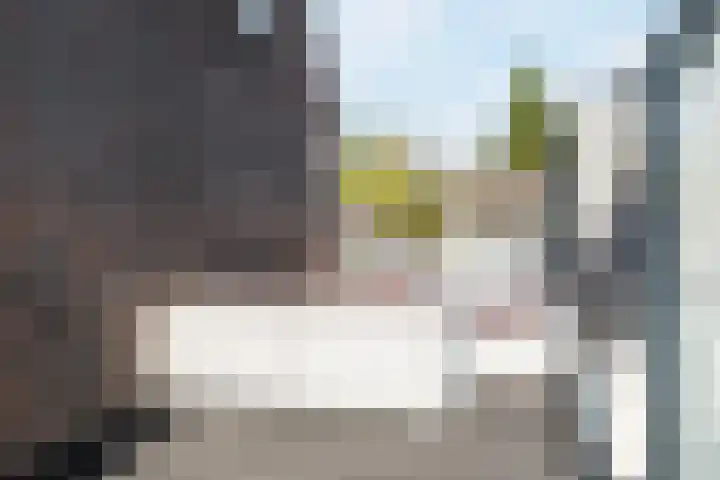 Duizelseweg 4 Eersel thumbnail 39